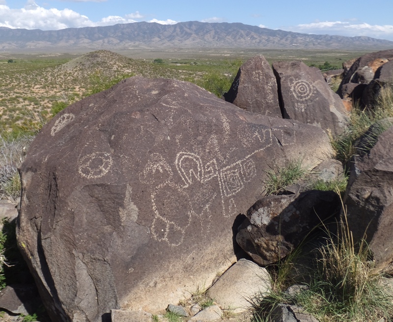 Lots of petroglyphs with nice background view