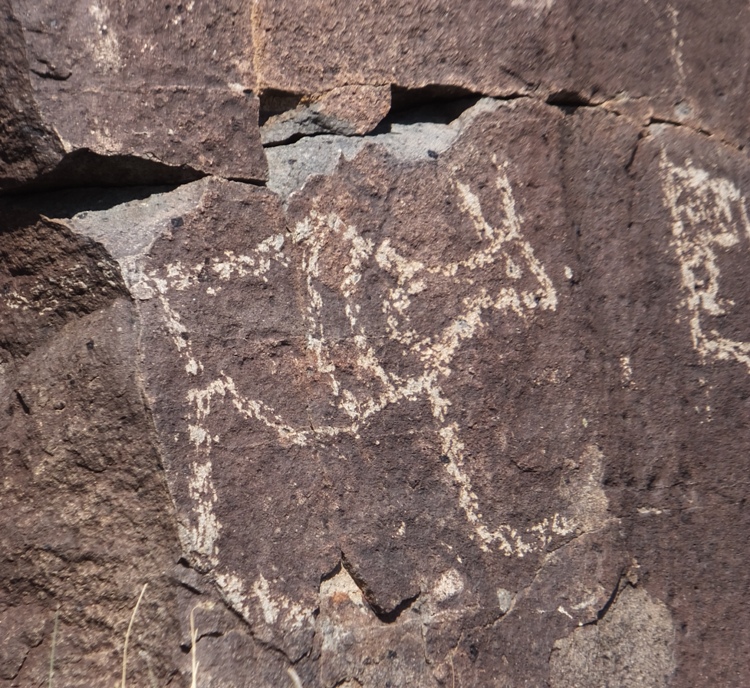 Petroglyph of a fat antelope