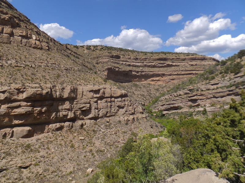 Rocky view