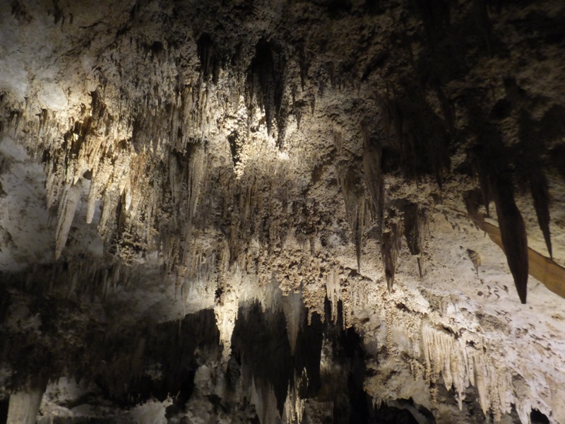 Lots of stalactites