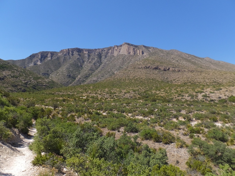 Mountains behind field of low vegetation