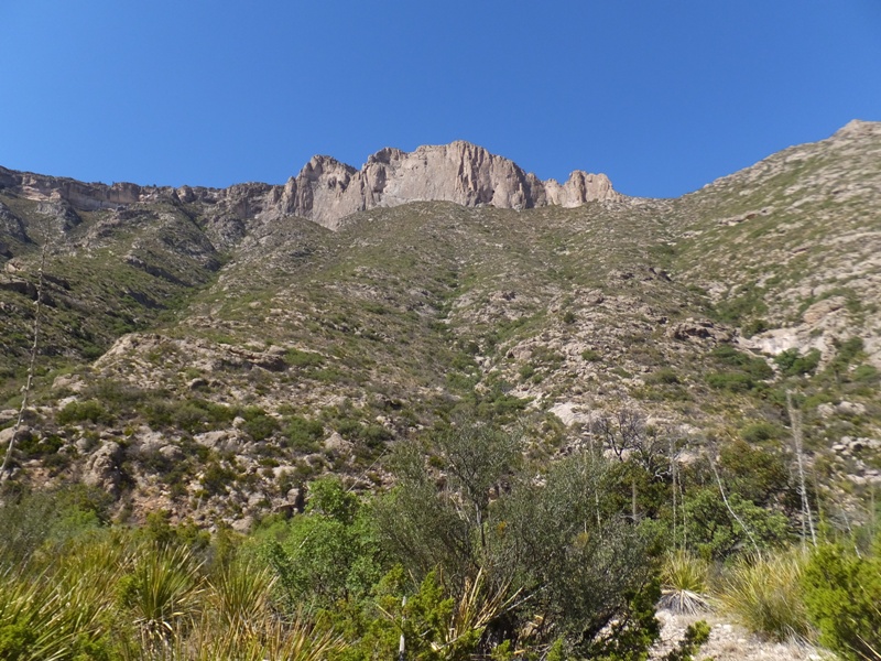 Looking up at the mountains