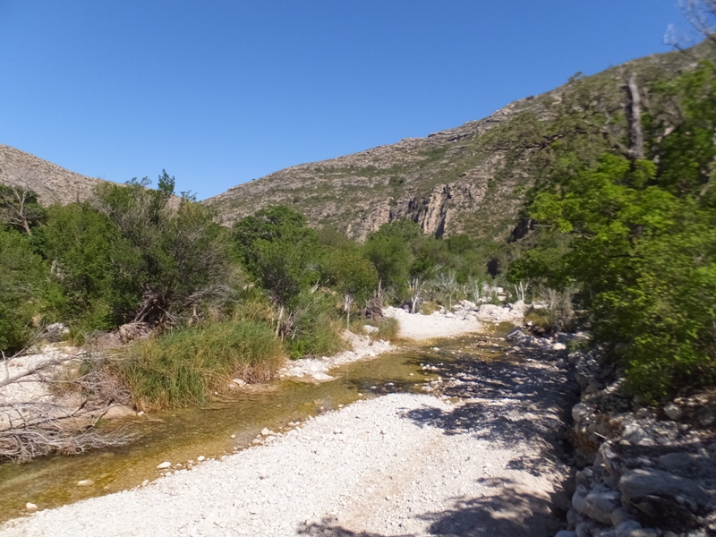 The stream with mountains behind