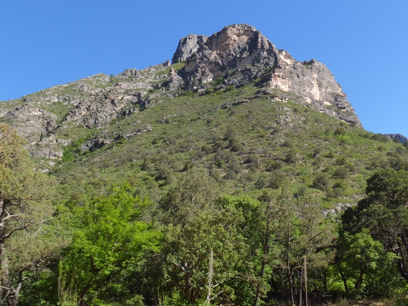 Tall mountain seen from the cabin