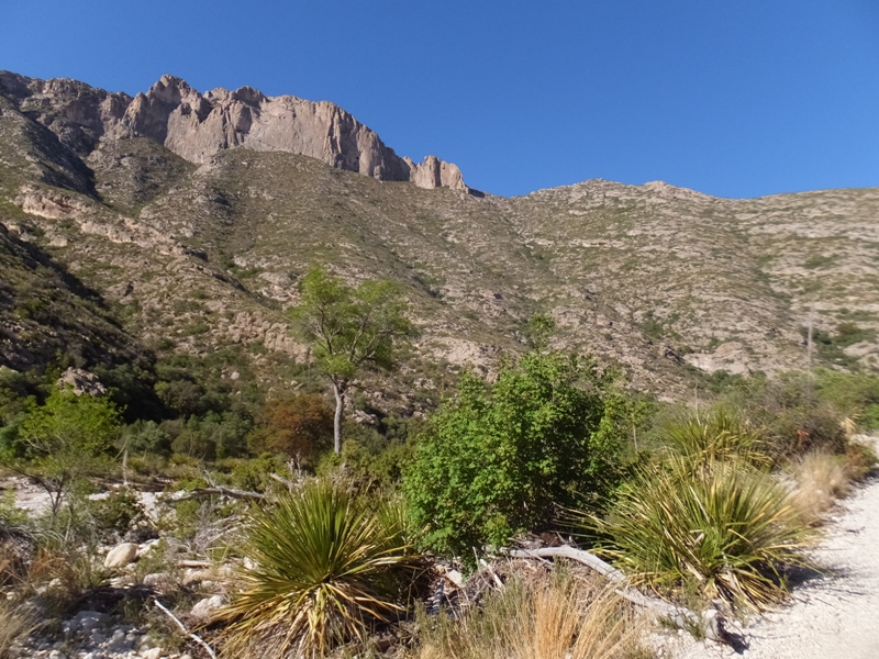 Desert vegetation, rolling hills, and rocky cliffs