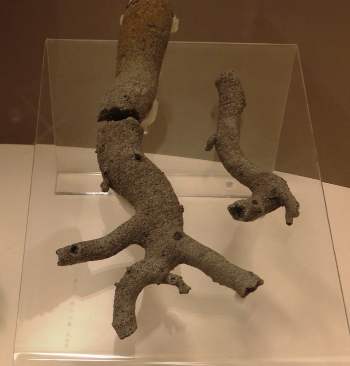 Two fulgurites at museum