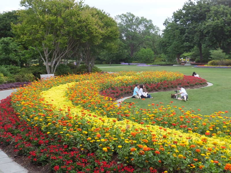 Perfectly manicured flowers