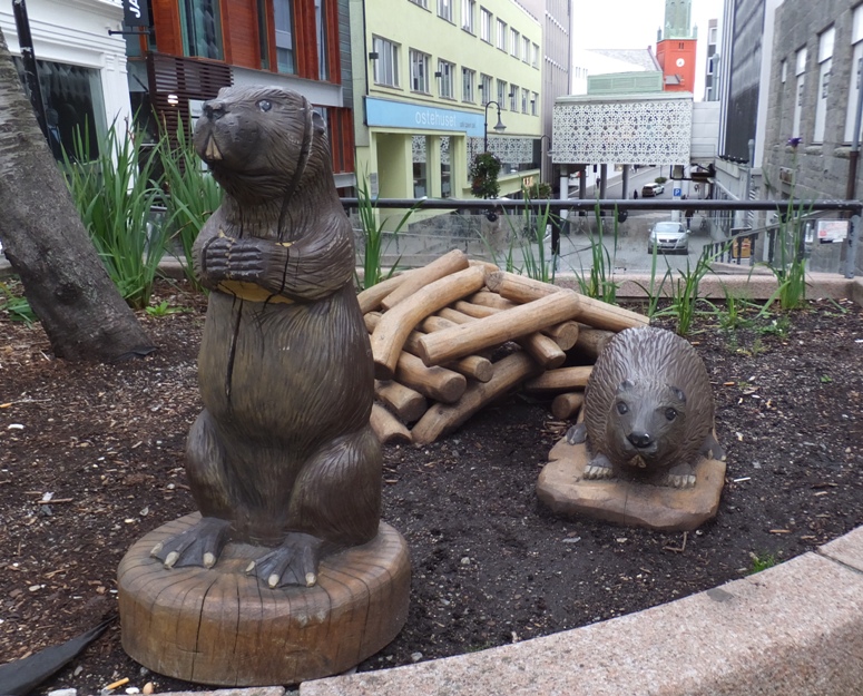 Wooden sculptures of beavers