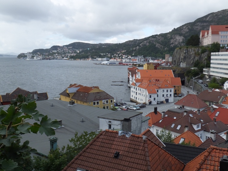 Buildings by the water