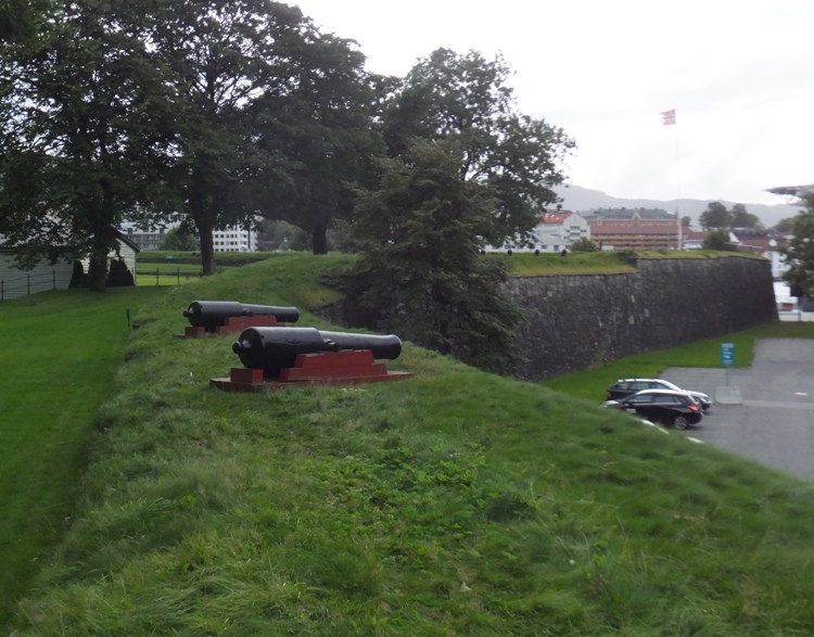 Cannons and castle wall