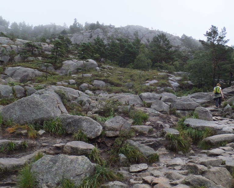 Norma walking in fog