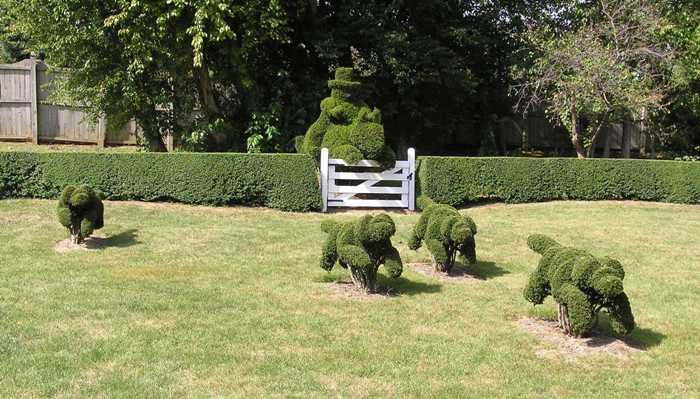 Bushes cut to look like a horse and rider chasing foxes