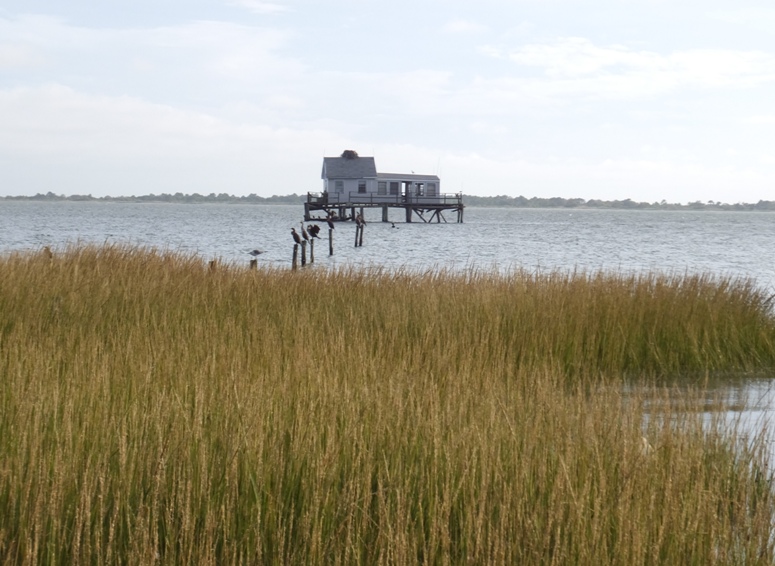 Building built on pier with big bird nest atop