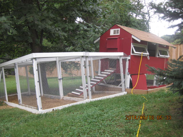 Chicken run, coop, and electric wire running to coop