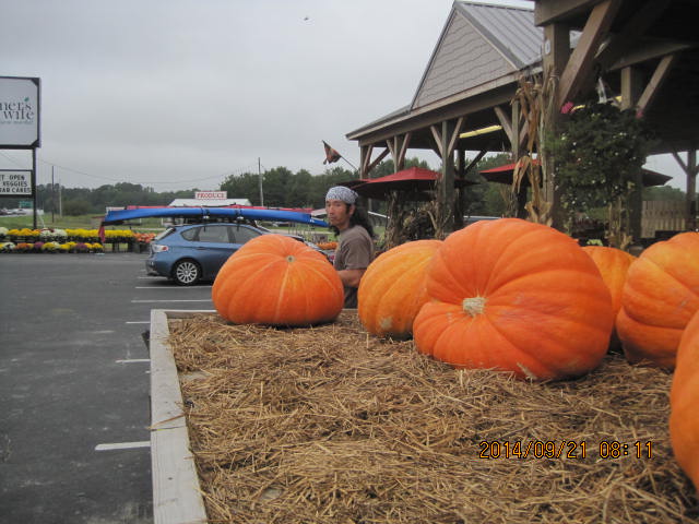 Pumpkins at fruit stand with me behind