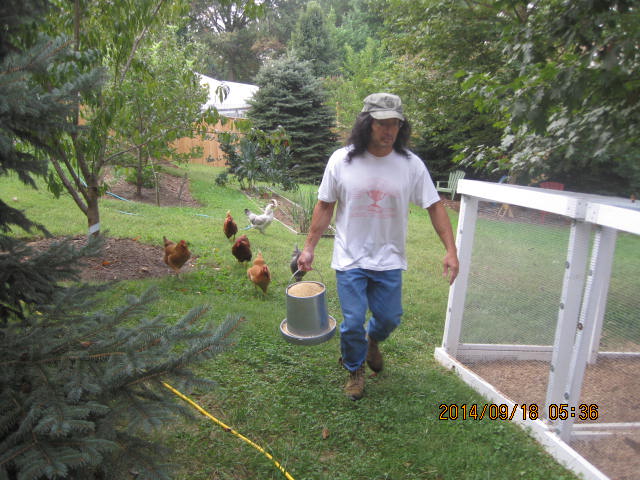 Me carrying full feeder with chickens following me