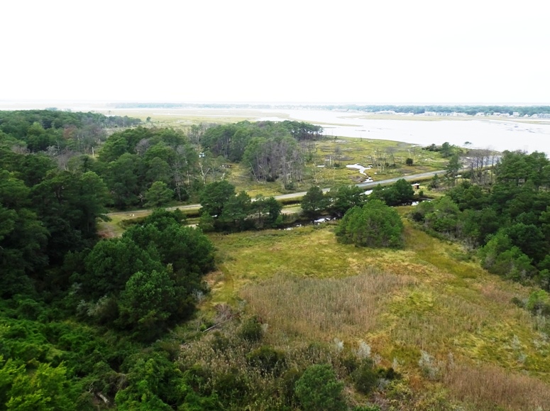 View from lighthouse looking south.  If you could zoom in, you'd see Memorial Park