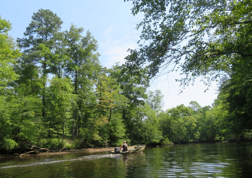 Fisherman in Jon boat heading upstream on tree-lined Mattaponi River