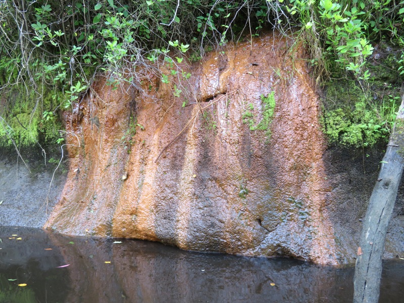 Water trickling down muddy wall