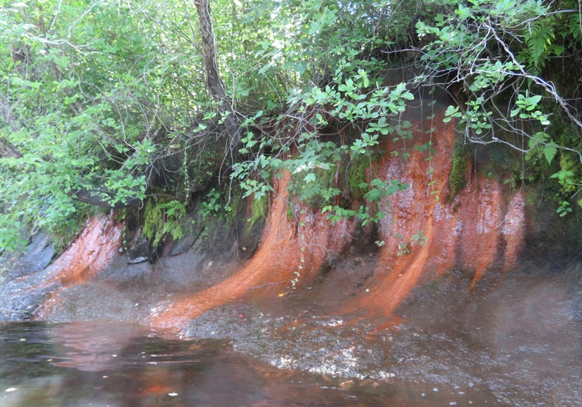 Wide-angle view of seepage wall