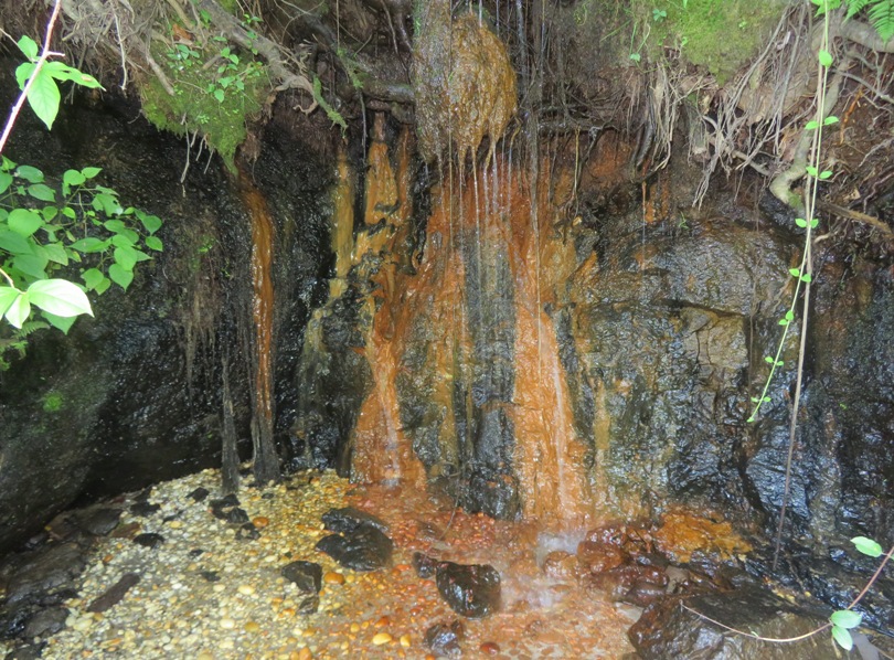 Red wall in small seepage cave