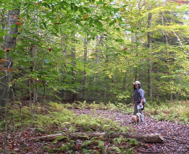 Me hiking with Daphne in the woods