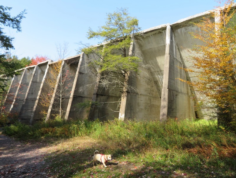 Daphne in front of dam