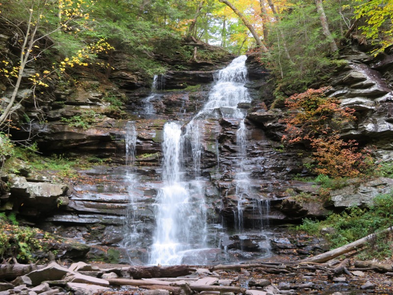 Ganoga Falls, 94' high