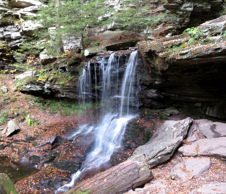 B. Reynolds Falls, 40' high