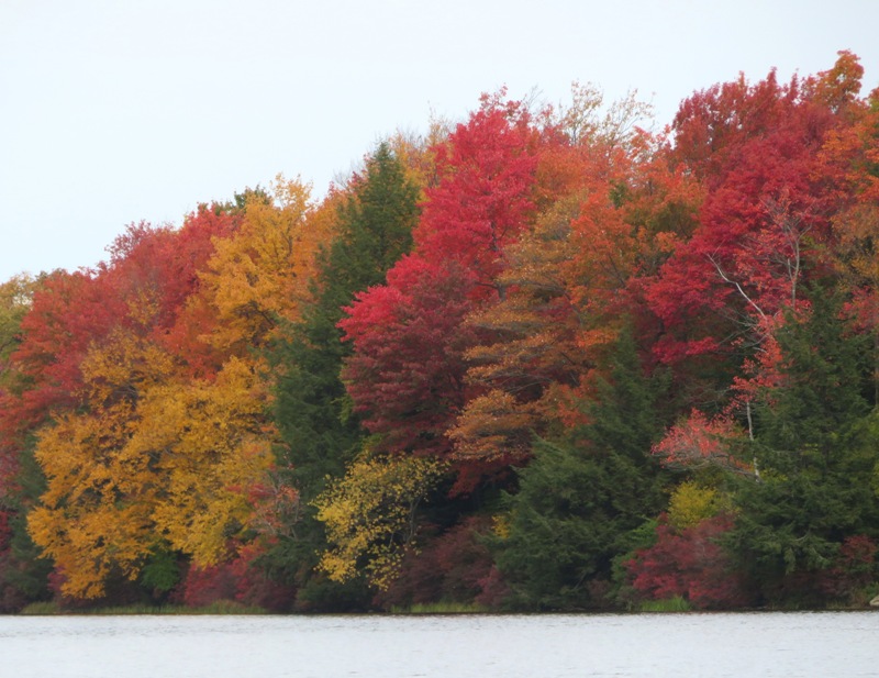 View of fall colors at Lake Jean