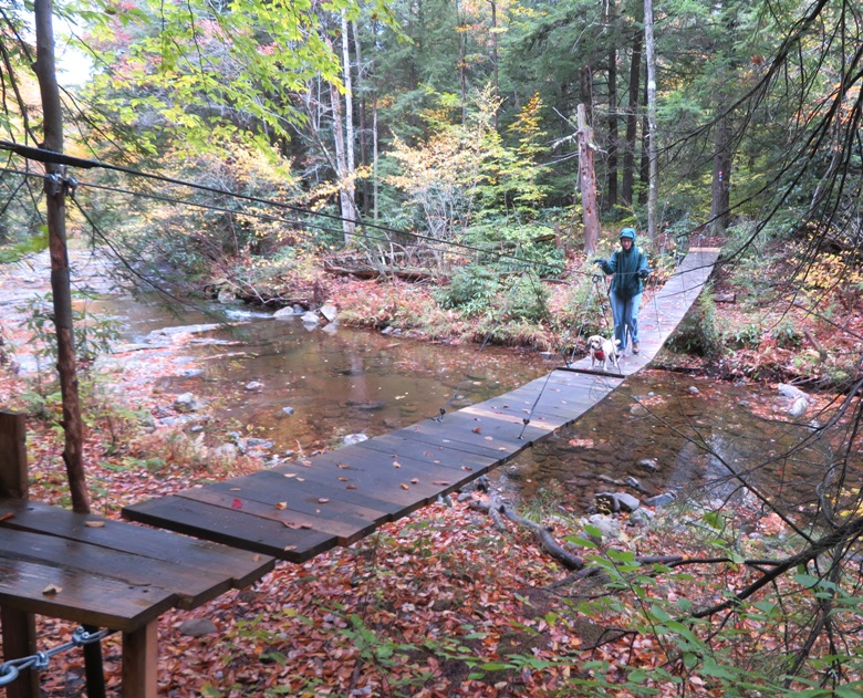 Norma and Daphne on swinging bridge