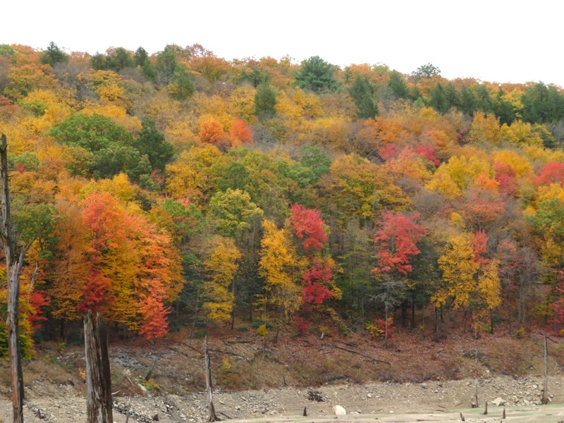 Autumn colors