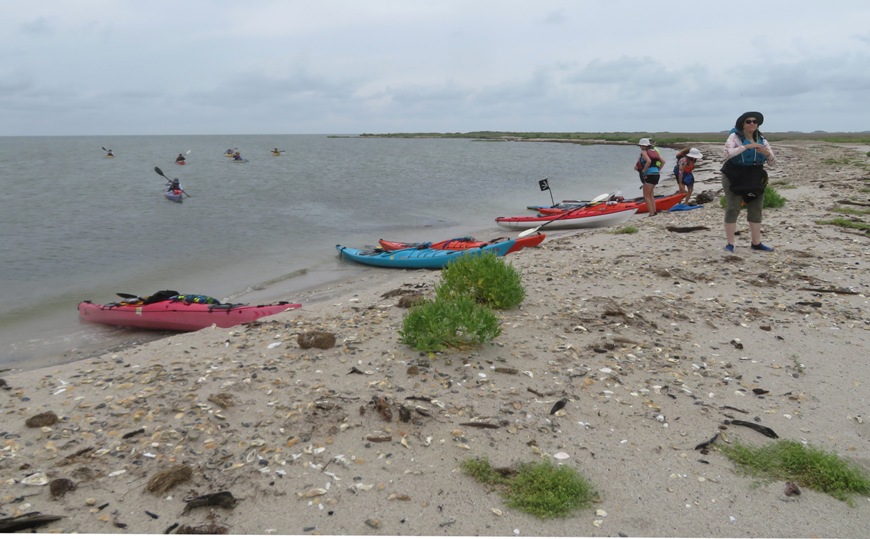 Beach with kayaks and people.  Kayakers in the water approach the shore