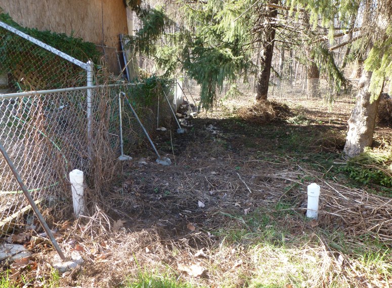 Damp area with no marsh vegetation