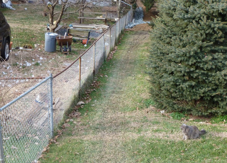 Turbo and Asha in stare-off with a fence between them