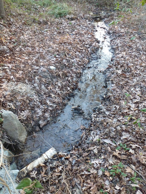 Water flowing from our property into Savage Park