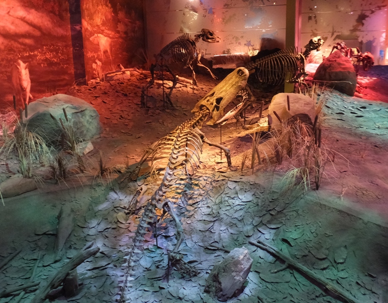 Scene showing natural terrain and bones in the shape of prehistoric animals