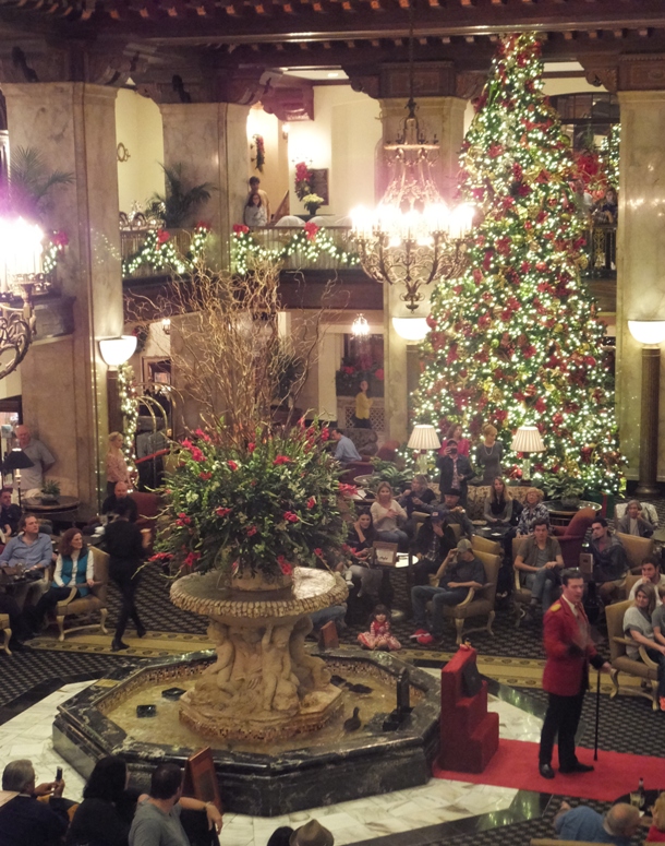 Duck fountain and Christmas tree