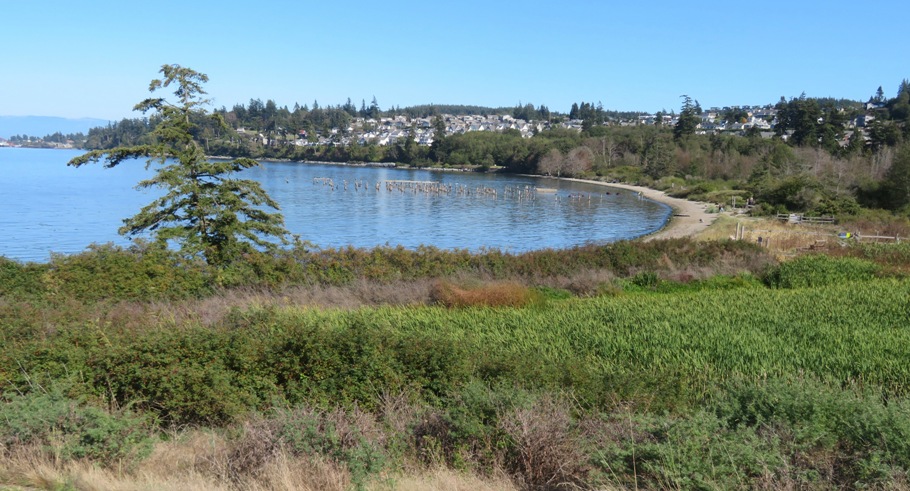 Cove near the Anacortes ferry