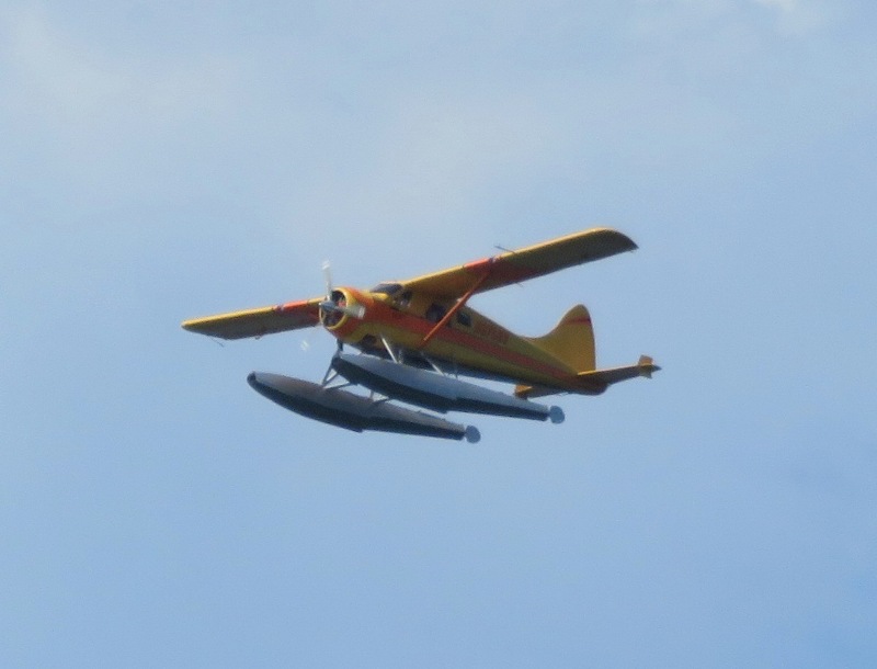 Sea plane in flight