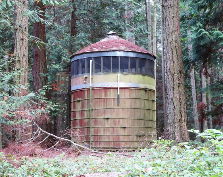 Something that looks like a water tower in the woods