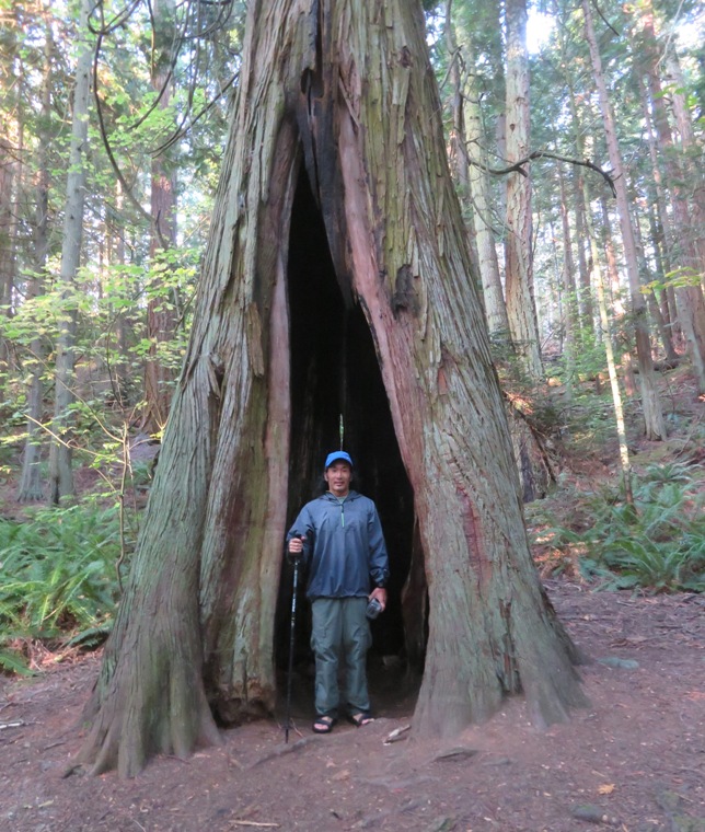 Me standing in front of large, hollowed-out part of tree