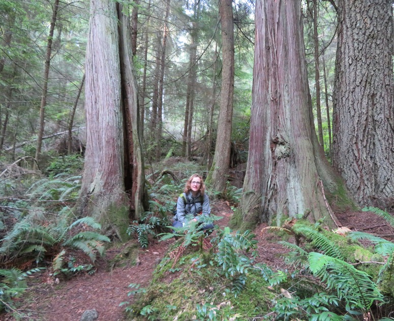 Norma by trees and ferns