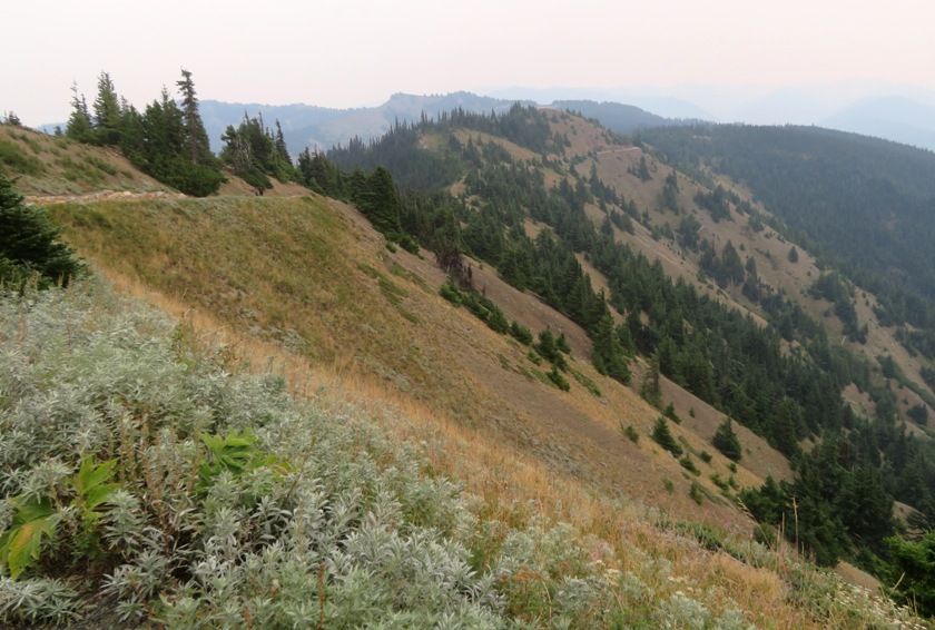 Trail on the ridgeline