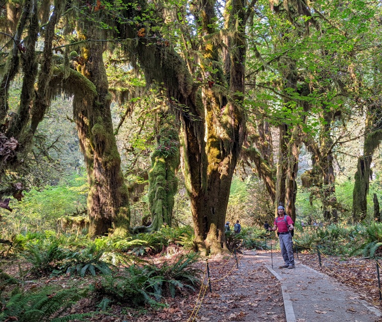 Me on trail with moss-covered trees behind