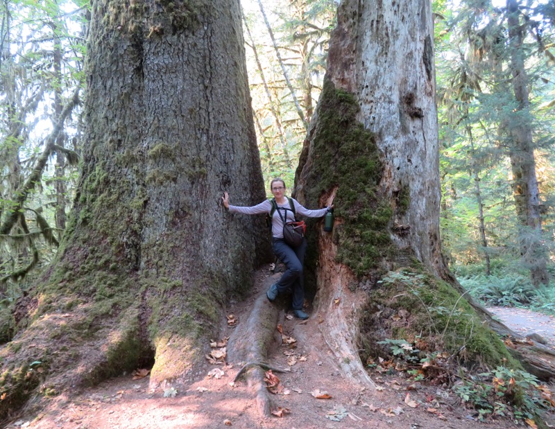 Norma standing between two large trees