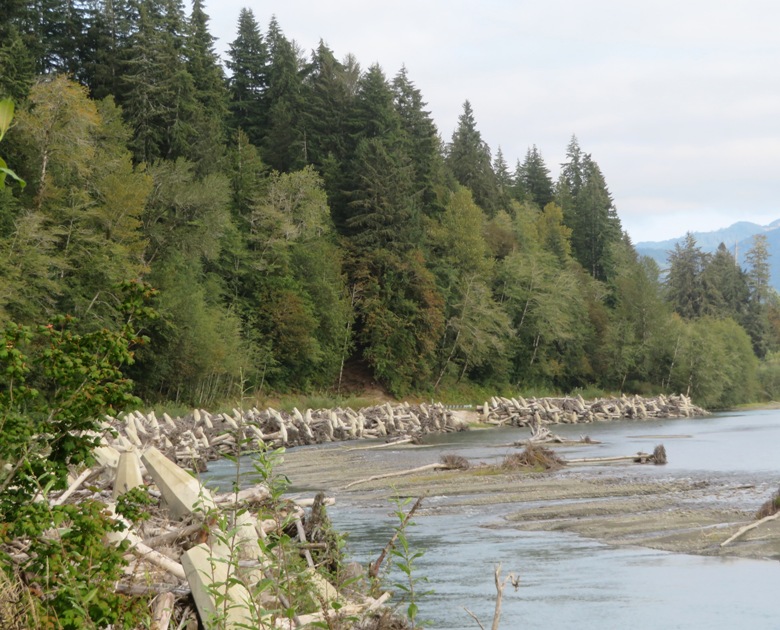 The Hoh River with concrete structures along the shore