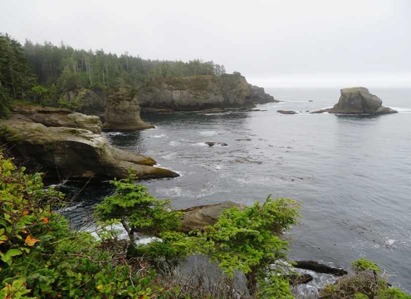 Rocky shores