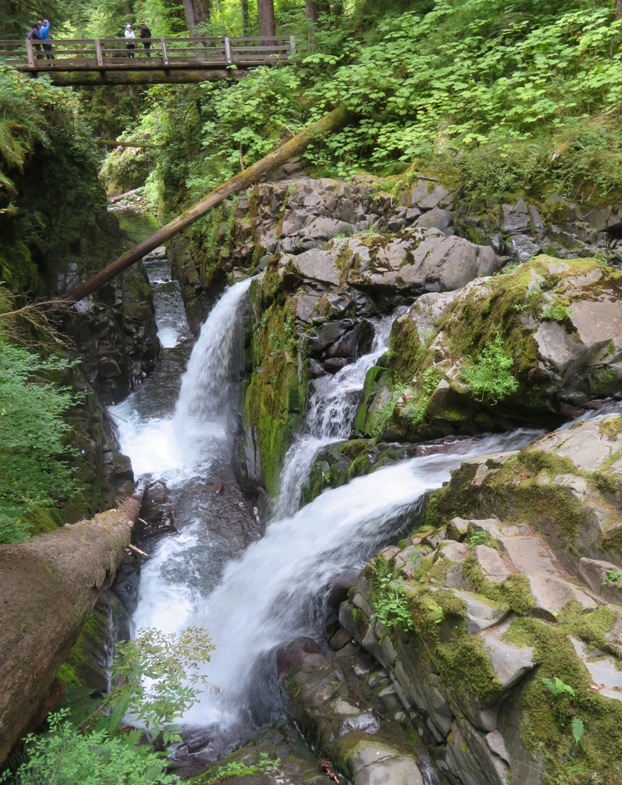 Sol Duc Falls with footbridge behind