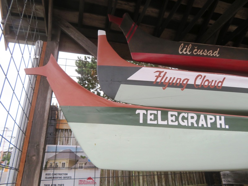 Racing canoes at museum